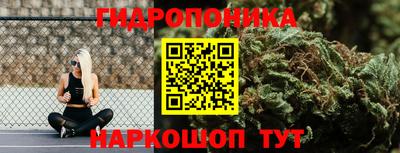 прущие крисы Ставрополь